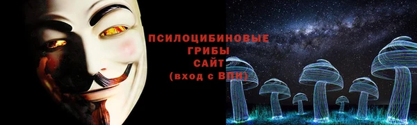 хмурый Алексеевка