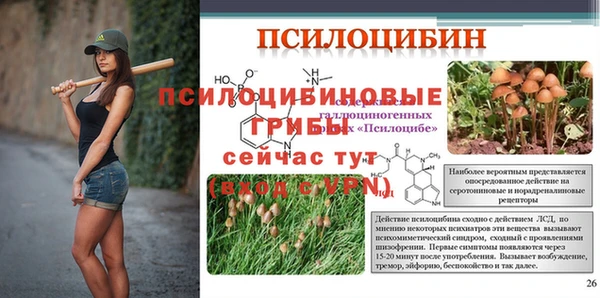 хмурый Алексеевка