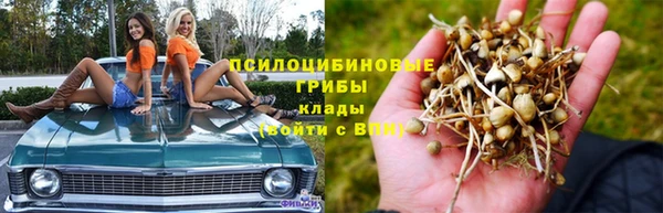 трава Алзамай