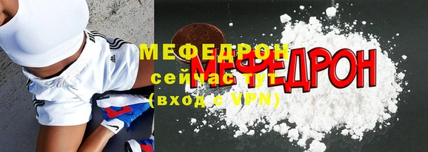 индика Козельск