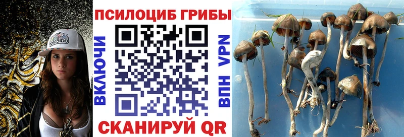 hydra сайт  Арамиль  Псилоцибиновые грибы мицелий 